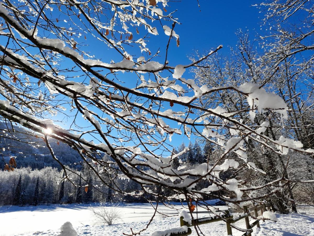 Samoens Studio Екстериор снимка