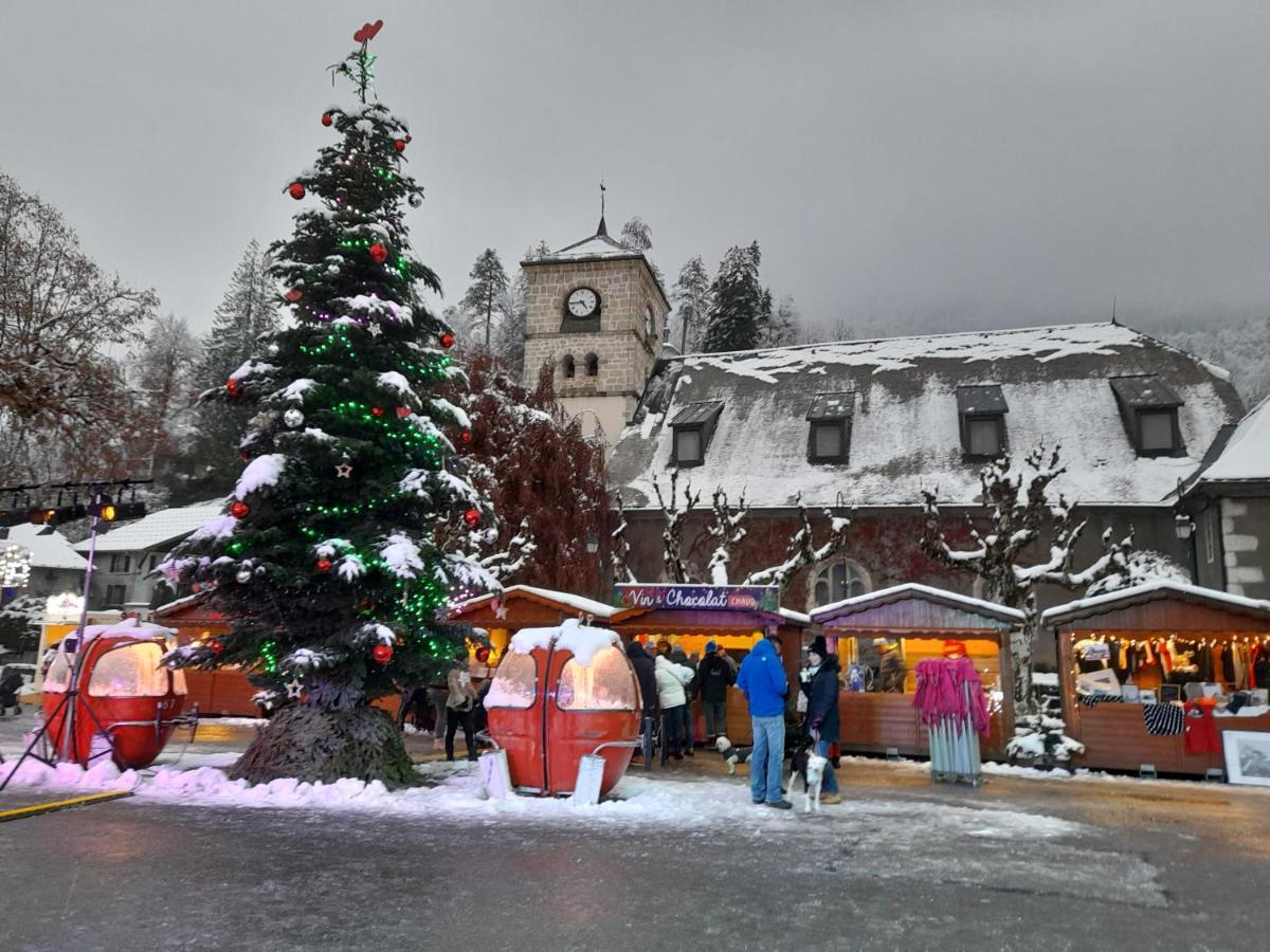 Samoens Studio Екстериор снимка